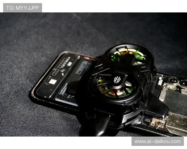 尊龙凯时app登录入口最新更新，确保玩家随时随地安全顺畅进入游戏体验